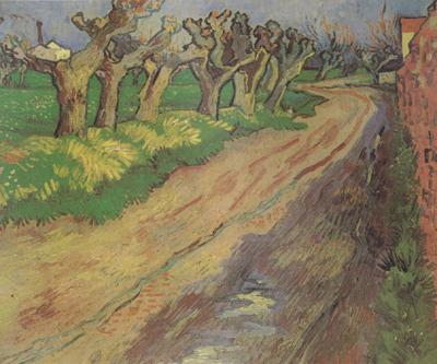 Vincent Van Gogh Pollard Willows (nn04) oil painting image